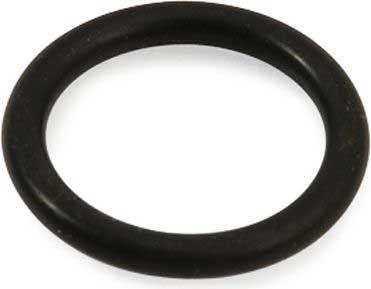 Sidel-O-Ring-13100115W004IME