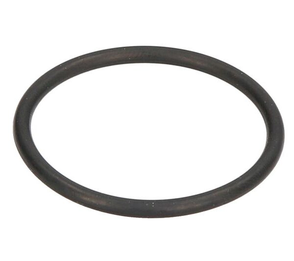 Sidel-13000290IME-O-Ring